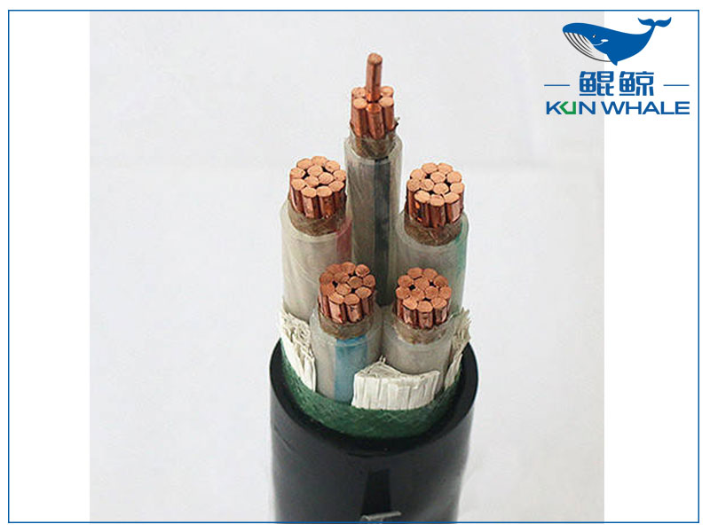 鄭州電纜廠帶你了解wdz—yje是什么電纜？