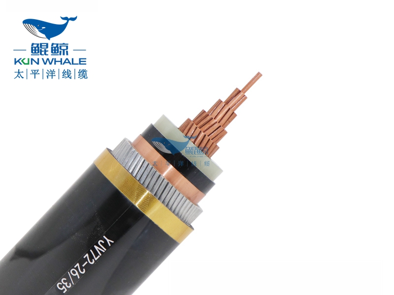 鋼絲鎧裝電纜 鎧裝電纜